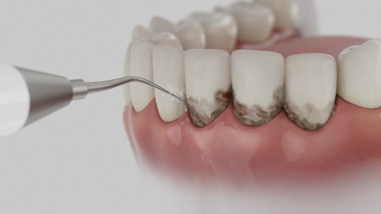 Reliable Dental contractor in River Ridge, FL by Dentist Open Now